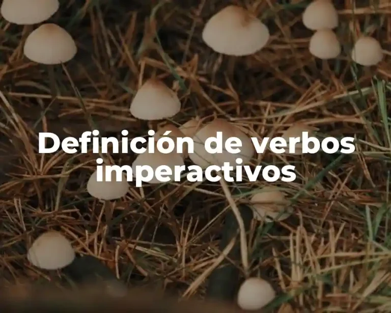 Definición de verbos imperactivos