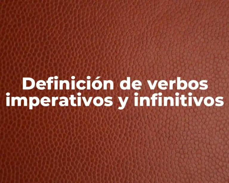 Definición de verbos imperativos y infinitivos