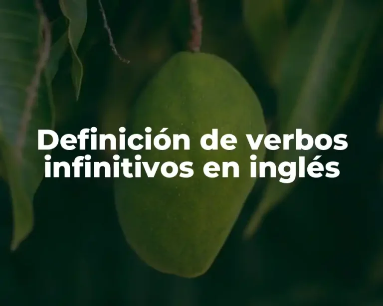 Definición de verbos infinitivos en inglés