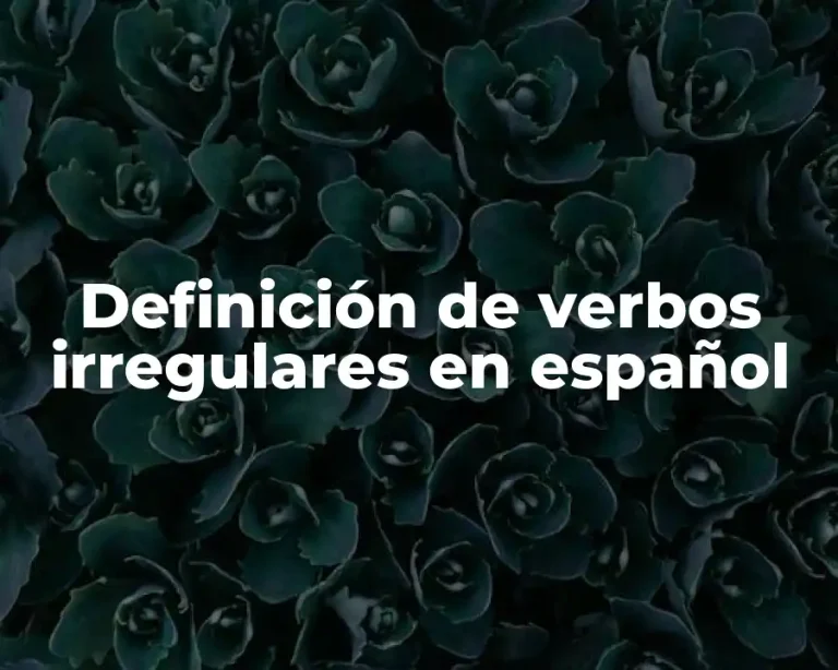 Definición de verbos irregulares en español
