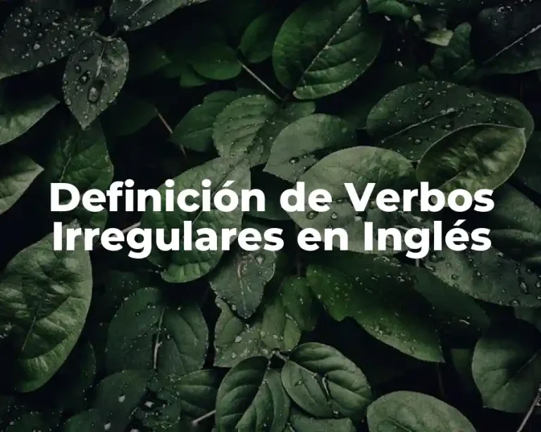 Definición de Verbos Irregulares en Inglés