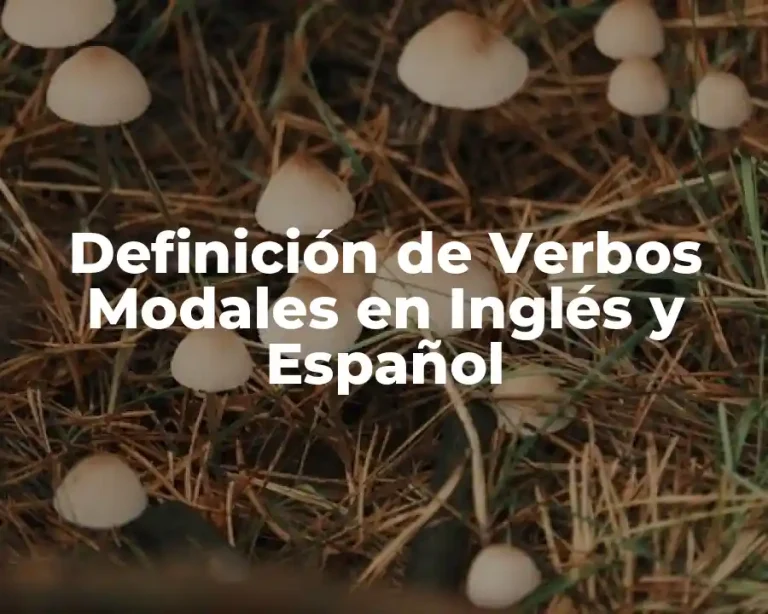 Definición de Verbos Modales en Inglés y Español