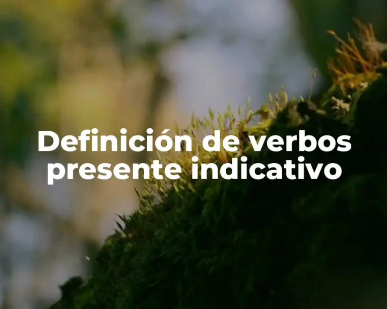 Definición de verbos presente indicativo