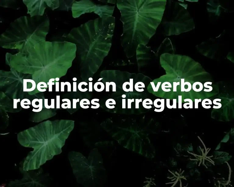 Definición de verbos regulares e irregulares