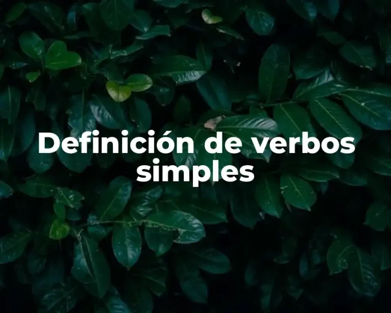 Definición de verbos simples