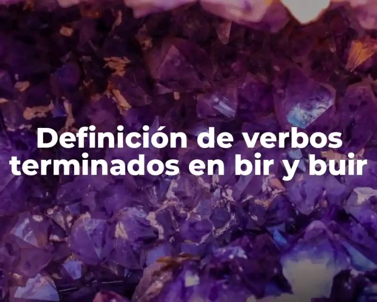 Definición de verbos terminados en bir y buir