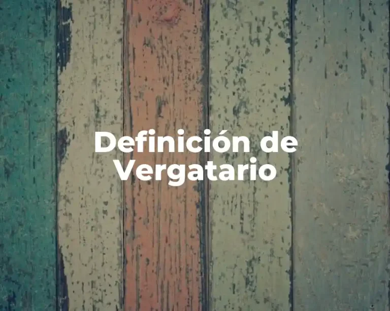 Definición de Vergatario