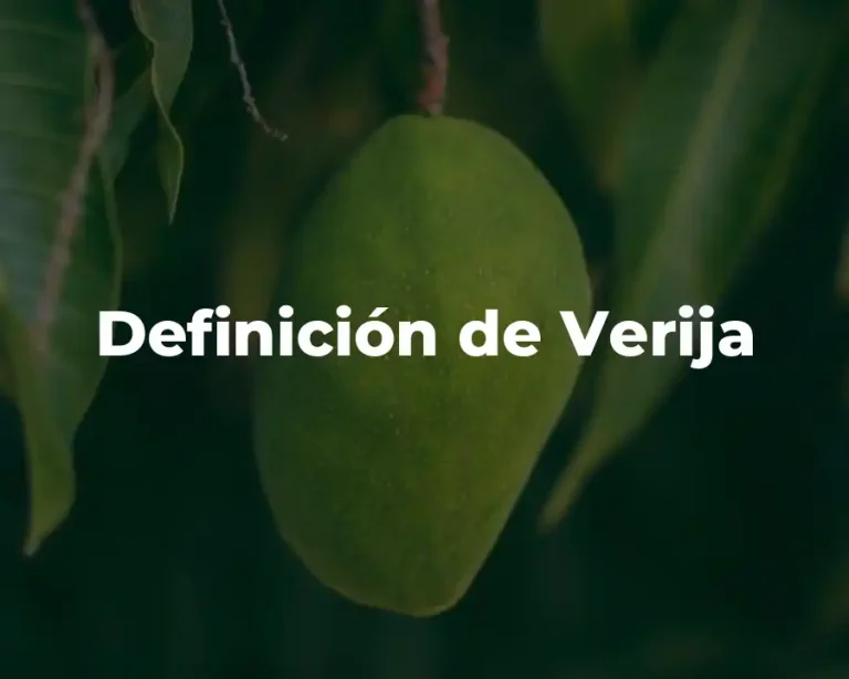 Definición de Verija