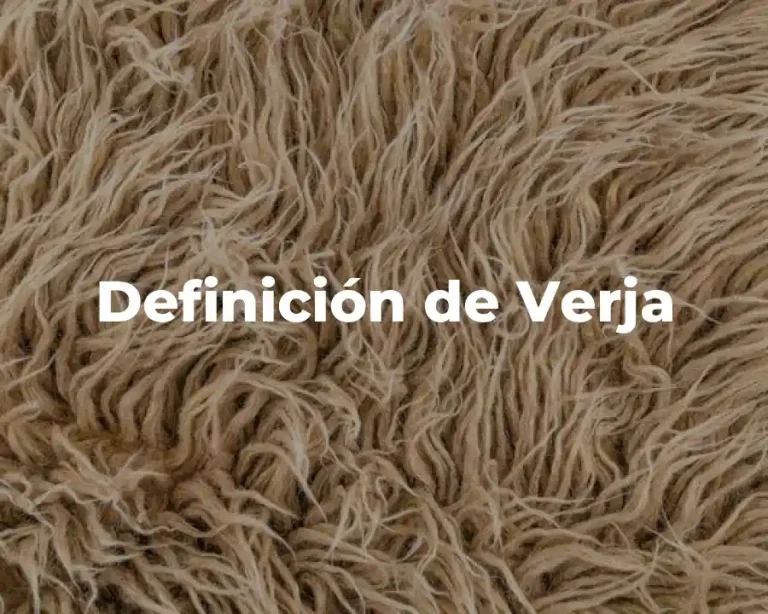 Definición de Verja