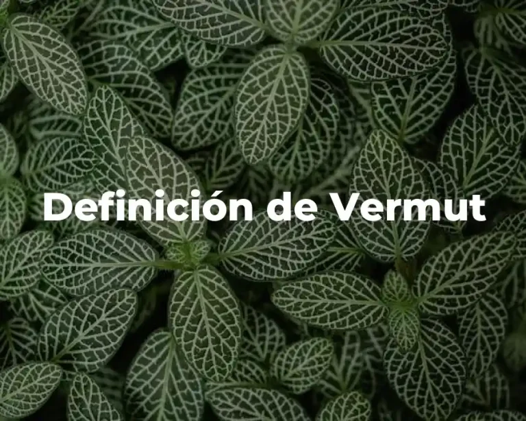 Definición de Vermut