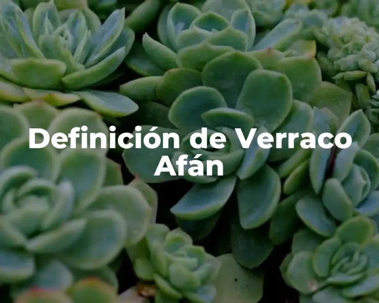 Definición de Verraco Afán