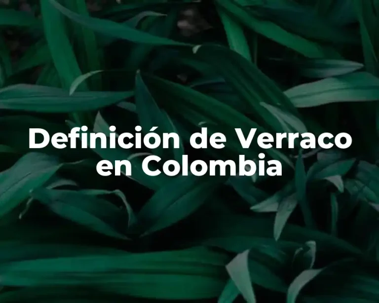 Definición de Verraco en Colombia