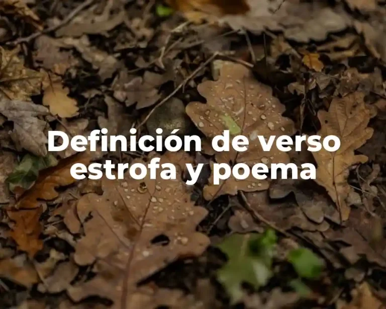 Definición de verso estrofa y poema