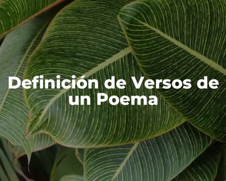 Definición de Versos de un Poema