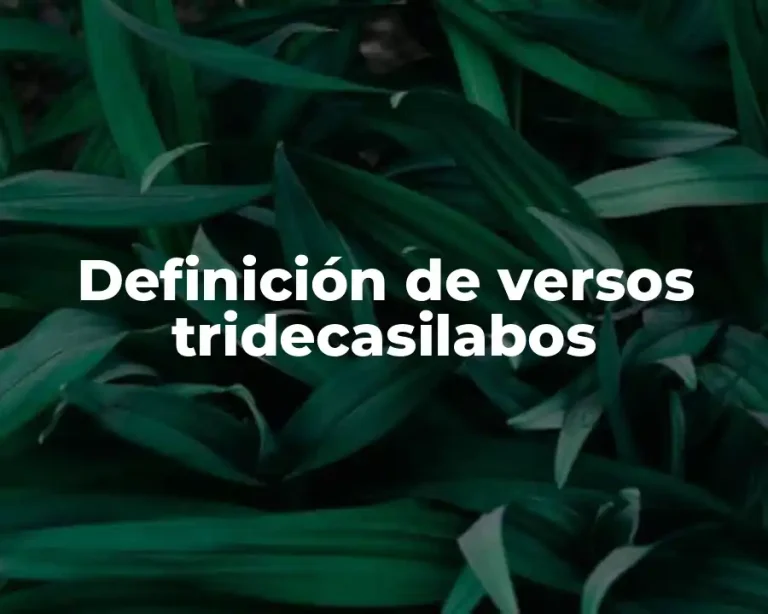Definición de versos tridecasilabos