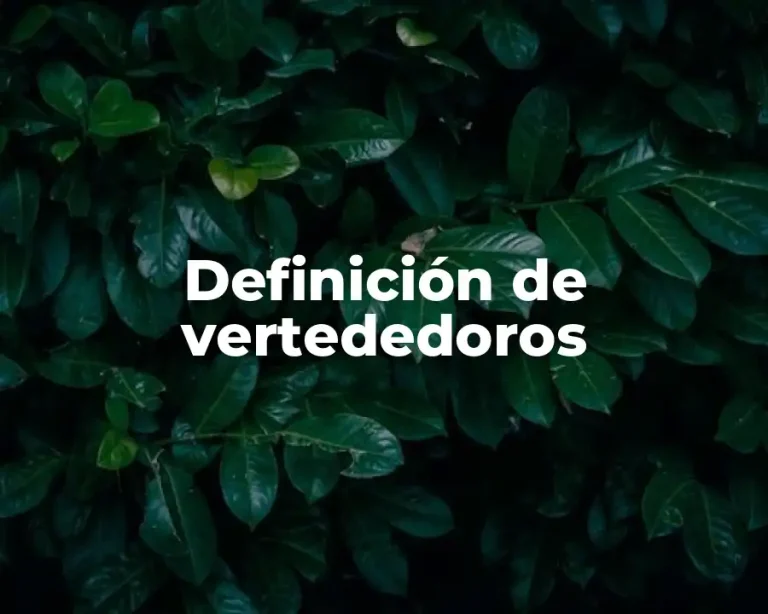 Definición de vertededoros