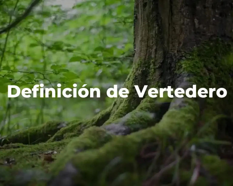 Definición de Vertedero