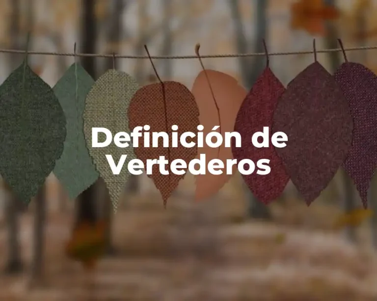 Definición de Vertederos