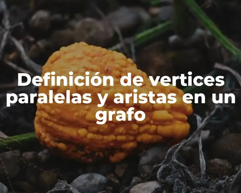 Definición de vertices paralelas y aristas en un grafo