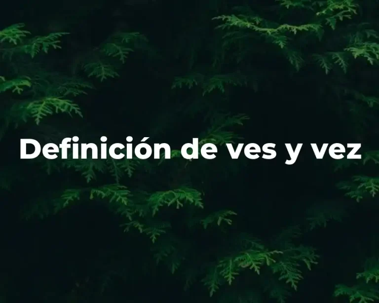 Definición de ves y vez