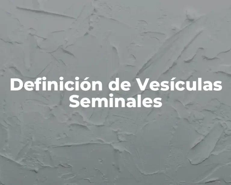 Definición de Vesículas Seminales