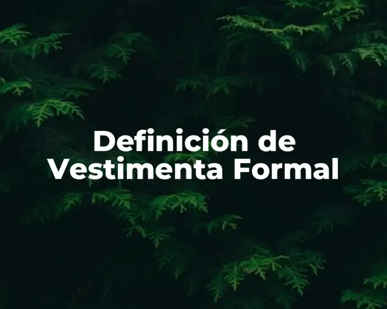Definición de Vestimenta Formal