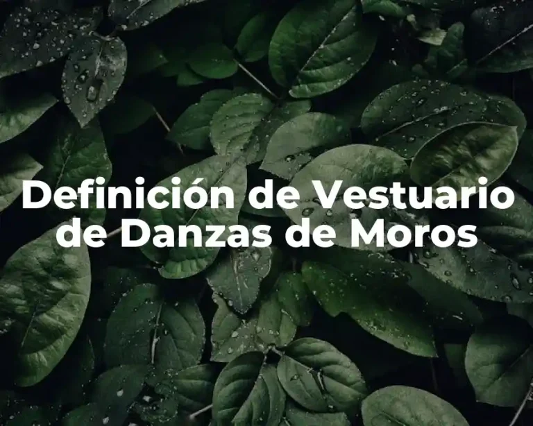 Definición de Vestuario de Danzas de Moros