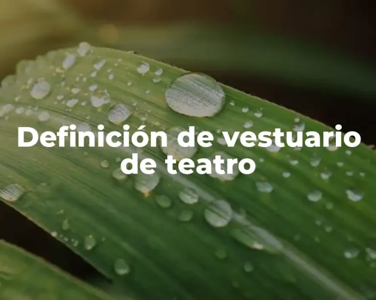 Definición de vestuario de teatro
