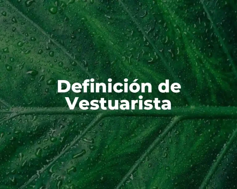 Definición de Vestuarista