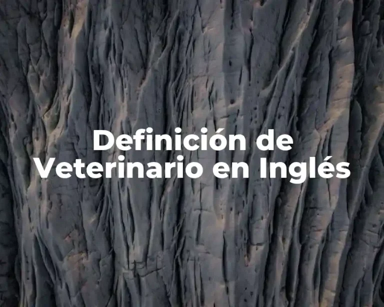 Definición de Veterinario en Inglés