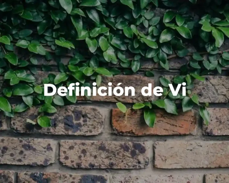 Definición de Vi