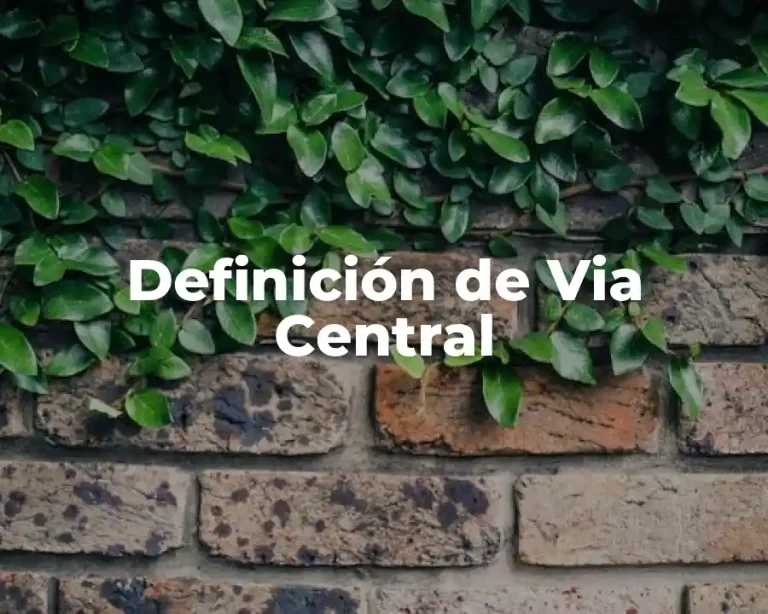 Definición de Via Central