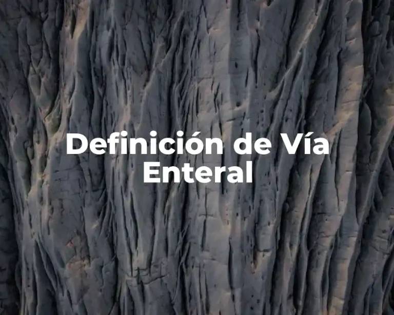 Definición de Vía Enteral