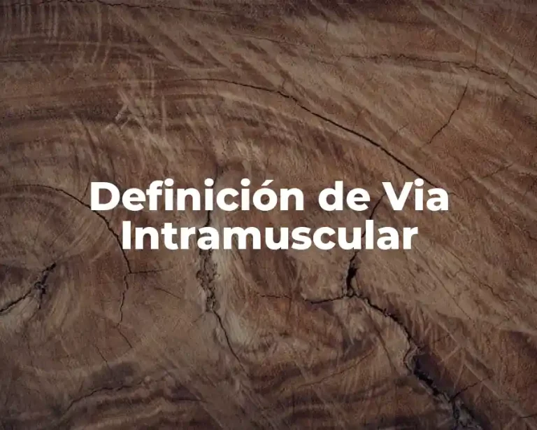 Definición de Via Intramuscular