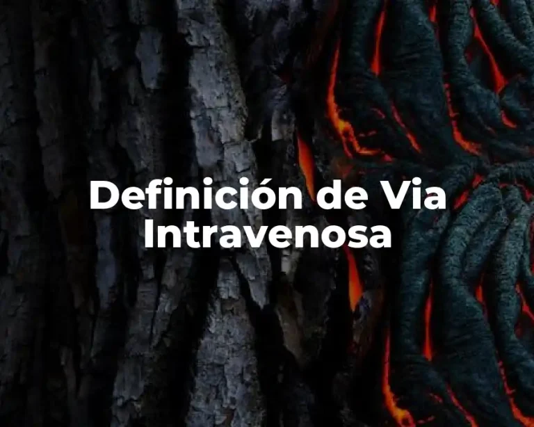 Definición de Via Intravenosa