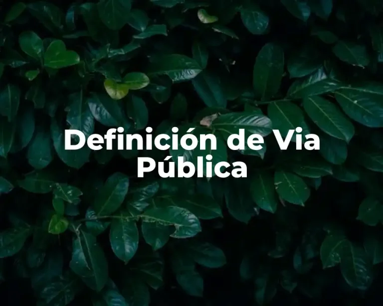 Definición de Via Pública