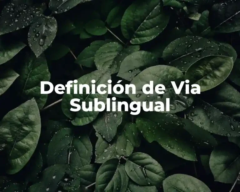 Definición de Via Sublingual