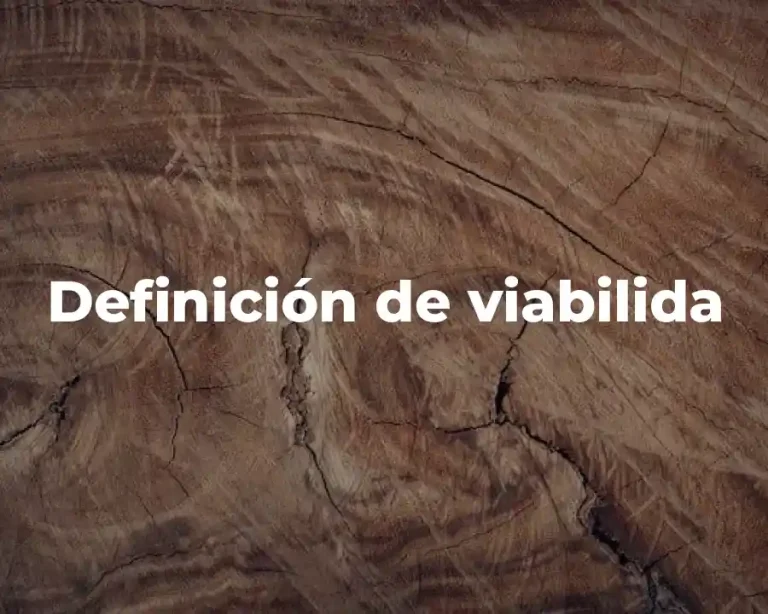 Definición de viabilida