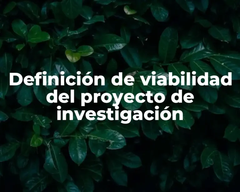 Definición de viabilidad del proyecto de investigación
