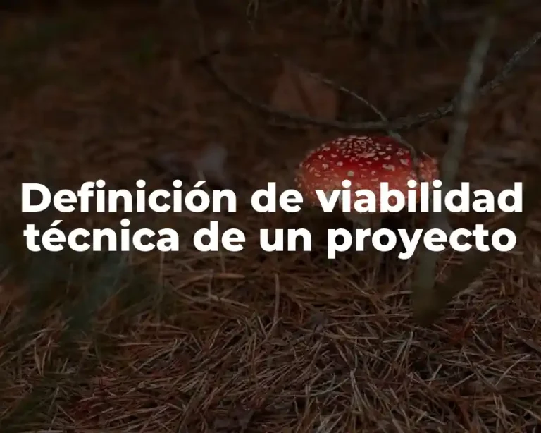 Definición de viabilidad técnica de un proyecto