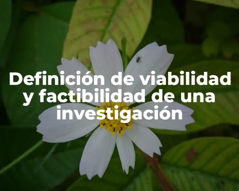 Definición de viabilidad y factibilidad de una investigación