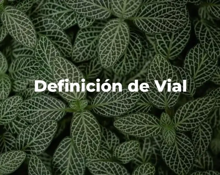 Definición de Vial
