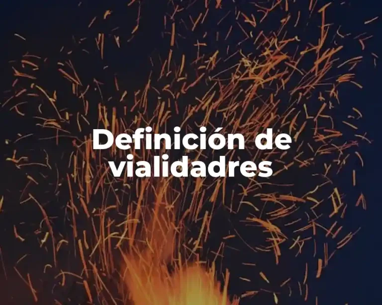 Definición de vialidadres