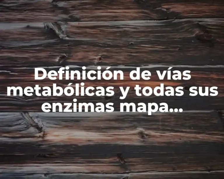 Definición de vías metabólicas y todas sus enzimas mapa conceptual