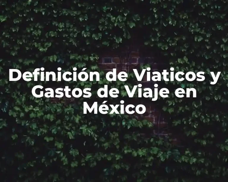 Definición de Viaticos y Gastos de Viaje en México