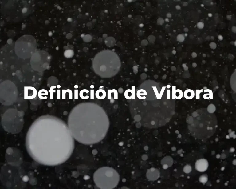Definición de Vibora