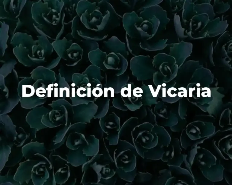 Definición de Vicaria