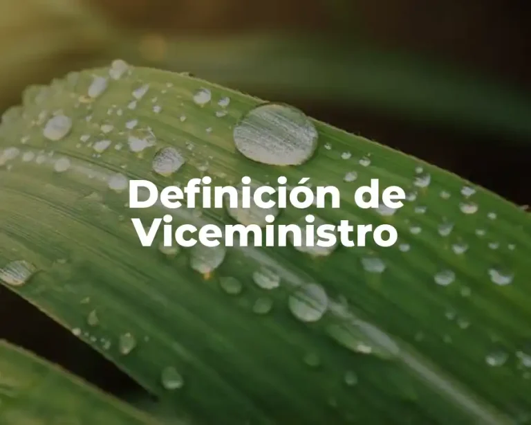Definición de Viceministro