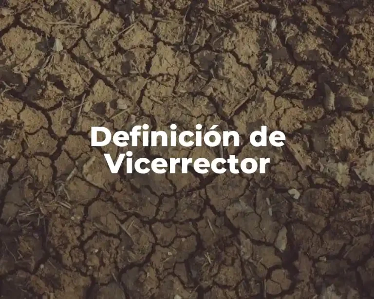 Definición de Vicerrector
