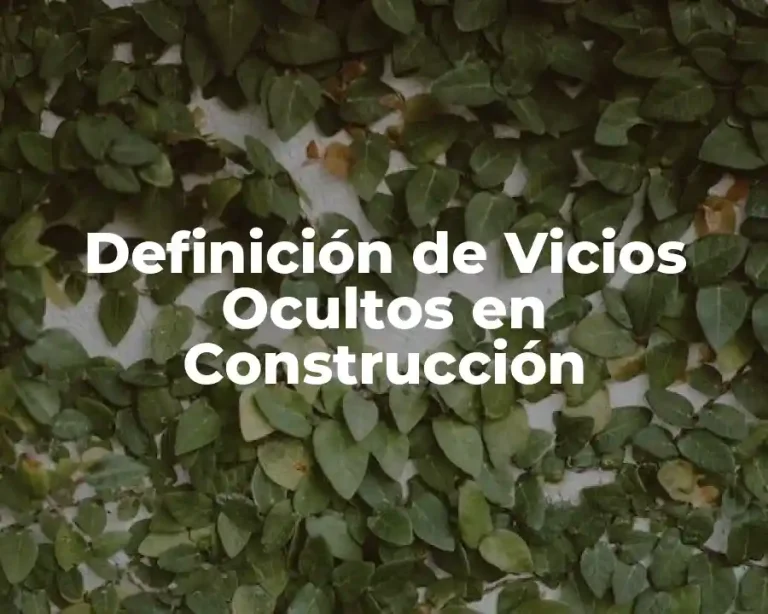 Definición de Vicios Ocultos en Construcción